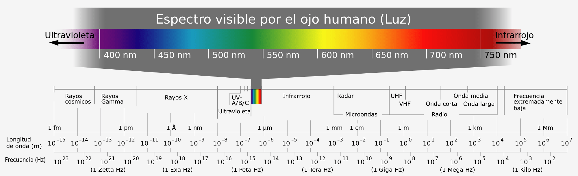 El espectro visible por el ojo humano (Luz)